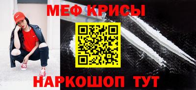 стафф Кингисепп