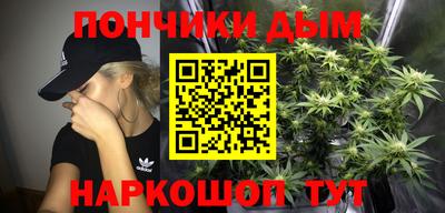прущие крисы Камышлов