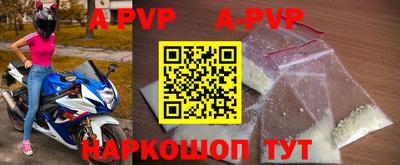 стафф Кингисепп