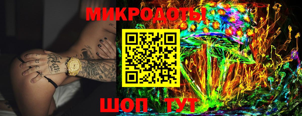 Псилоцибиновые грибы Psilocybine cubensis Кудымкар