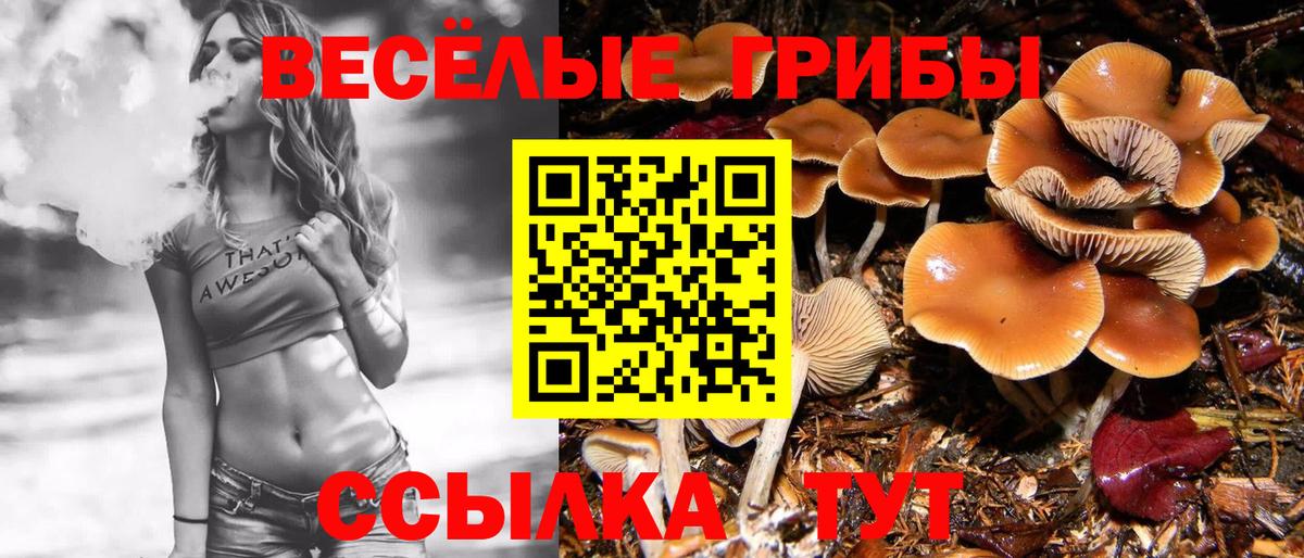 Галлюциногенные грибы MAGIC MUSHROOMS  Псилоцибиновые грибы Psilocybe  Кудымкар  как найти закладки  Вход с VPN 